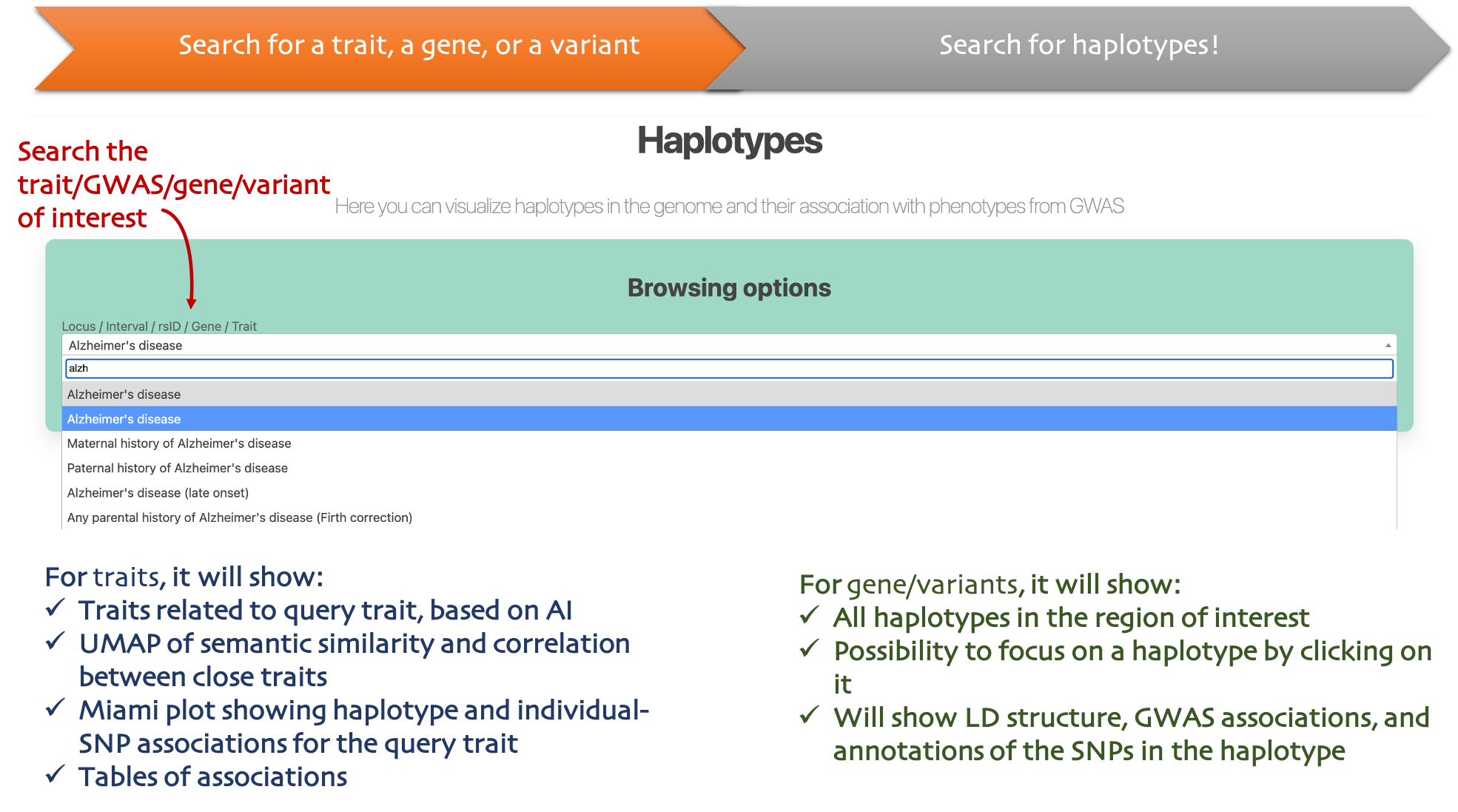 Haplotypes vignette